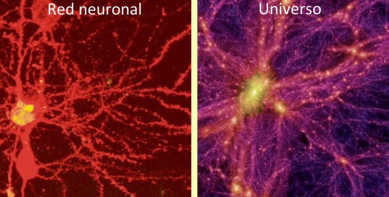 Cerebro y Universo. La electricidad es vida