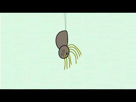 Miniatura del vídeo