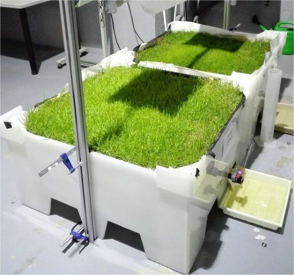 Electricidad generada por plantas