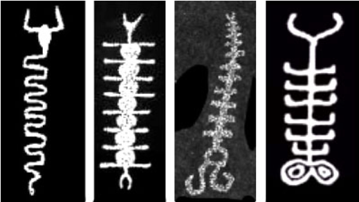 Configuración de la columna vertebral del cielo, comparada con formas de descarga de plasma en laboratorio